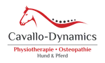 Cooperation partner: Cavallo-Dynamics