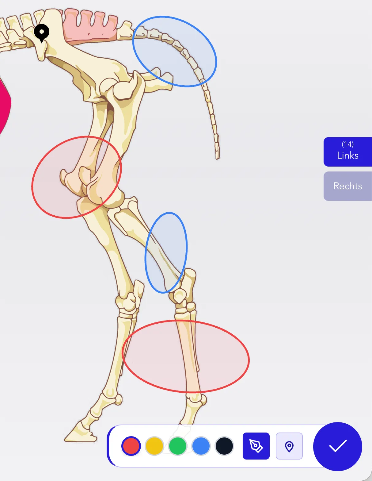 Mobile assessment