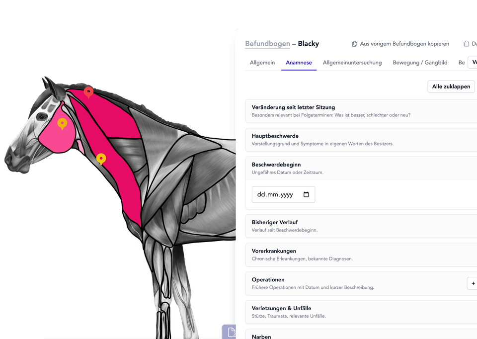 Practice software for animal therapists, veterinary practitioners & mobile therapists