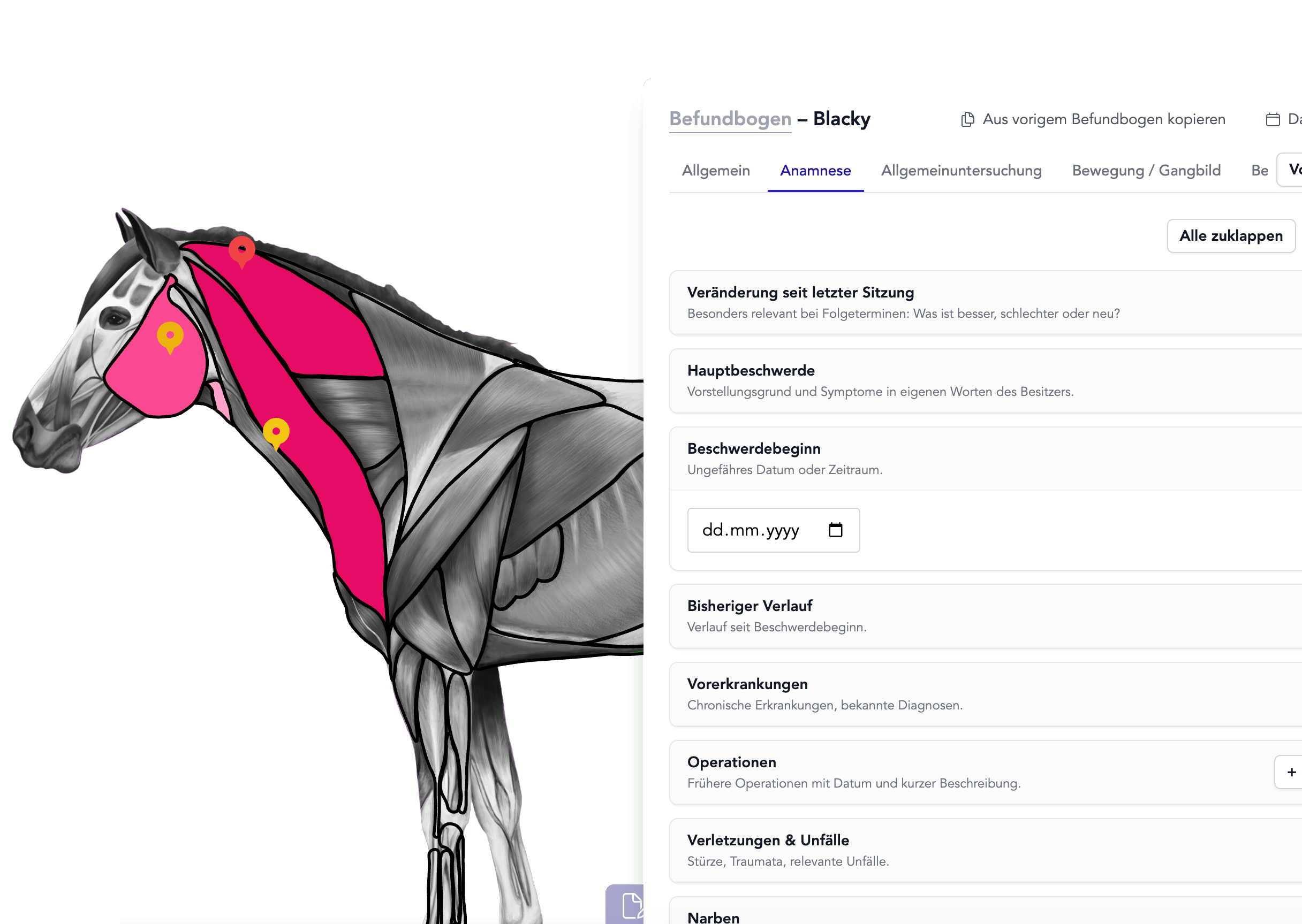 Therapy software for equine, canine, and feline therapists