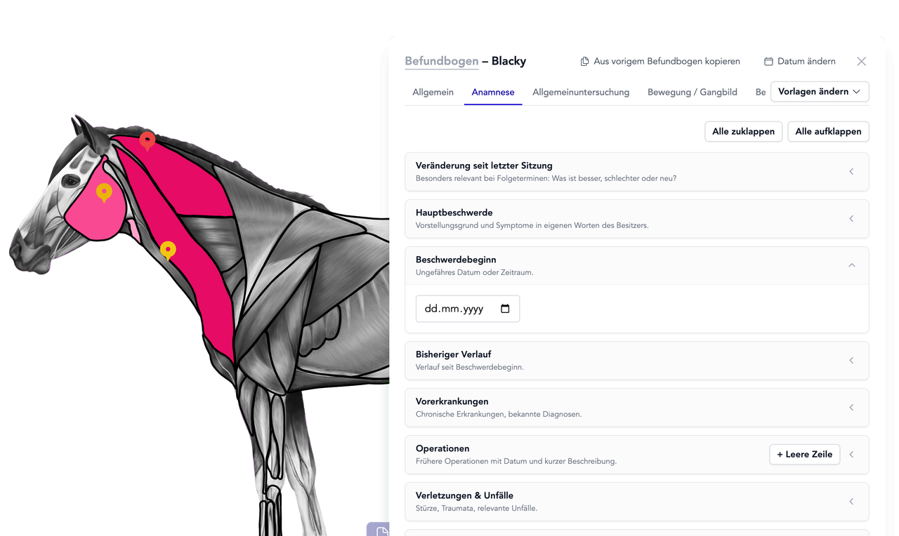 Practice software for animal therapists, veterinary practitioners & mobile therapists