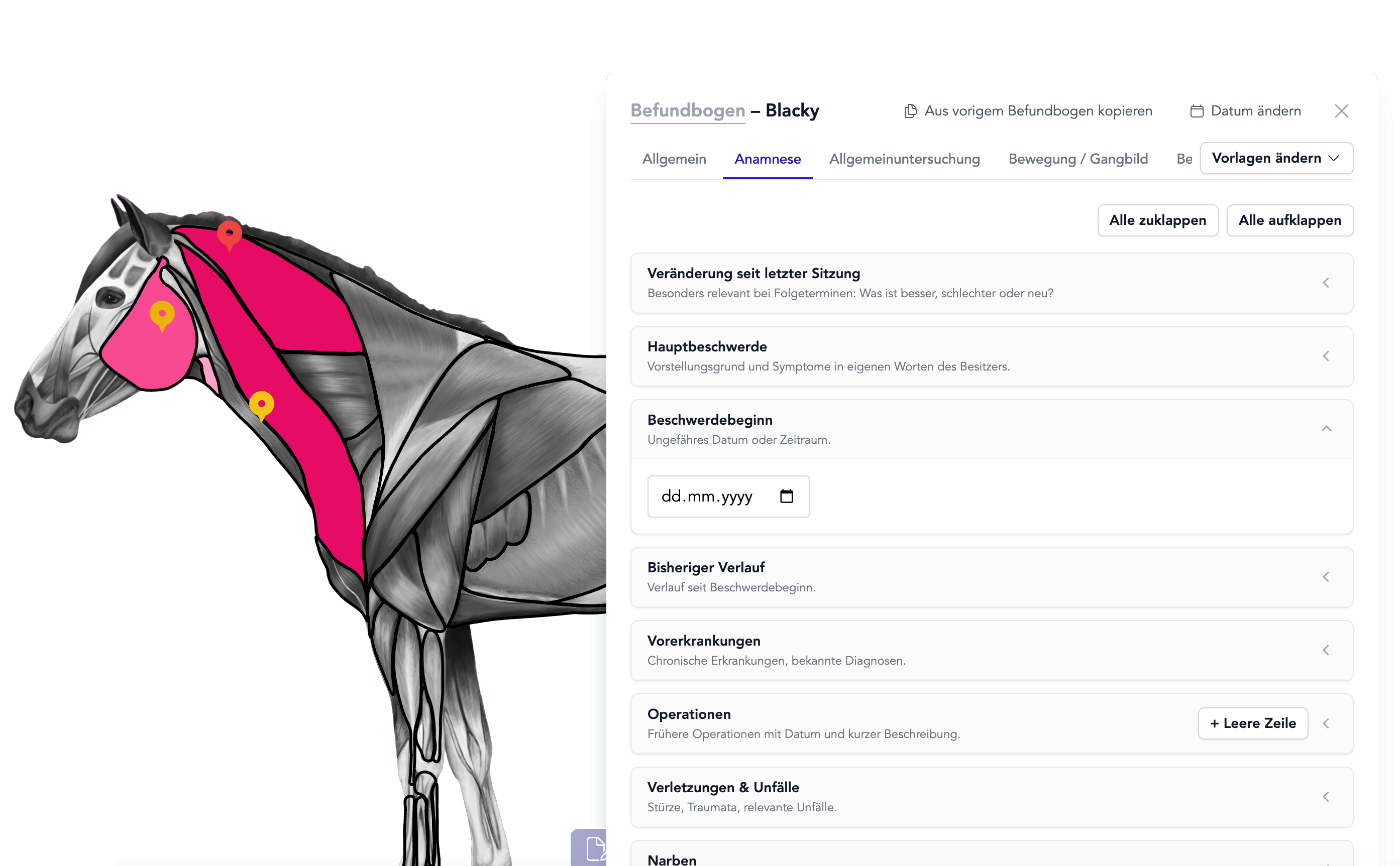 Therapy software for equine, canine, and feline therapists