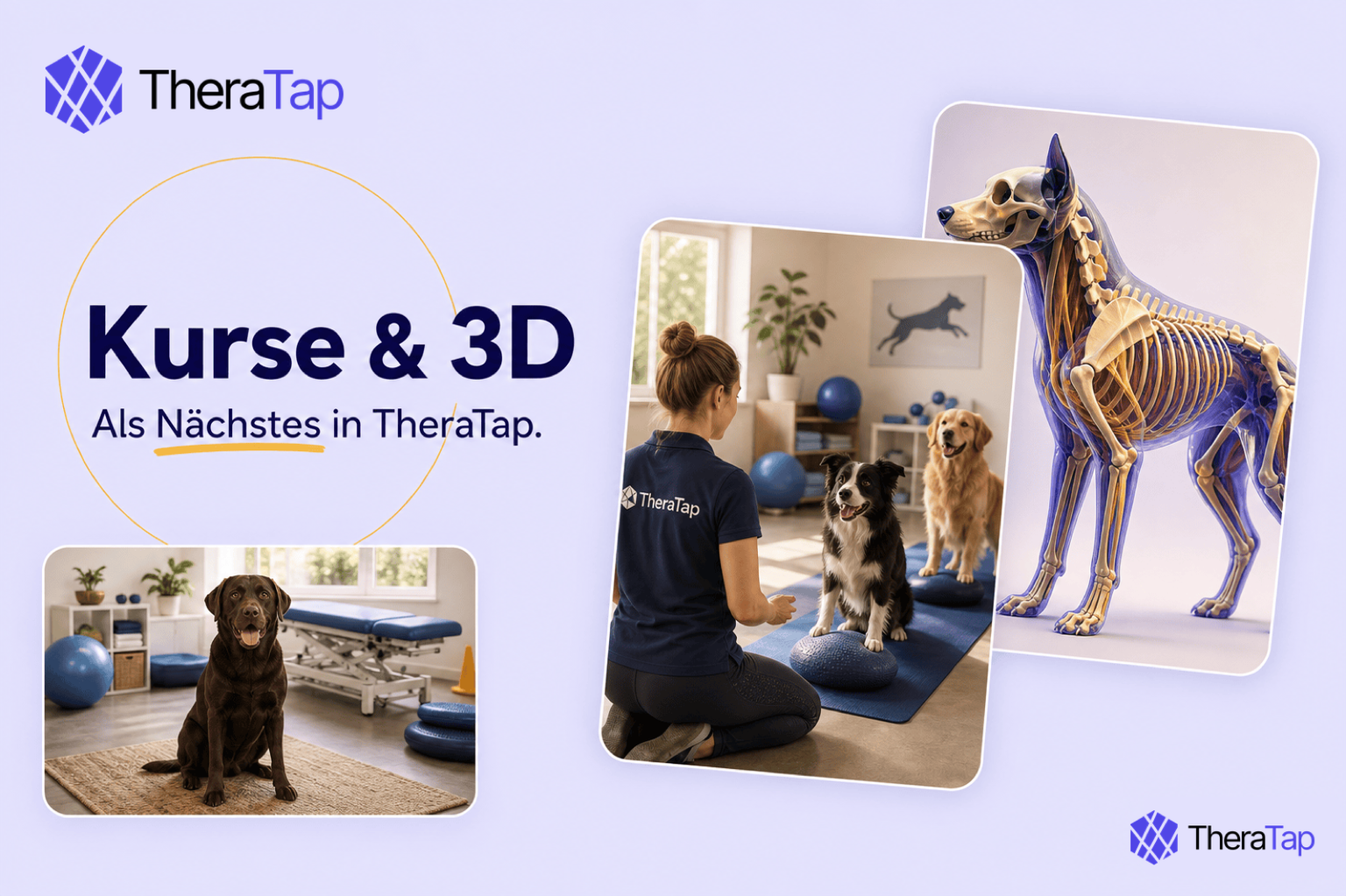 Coming soon to TheraTap: courses and 3D models