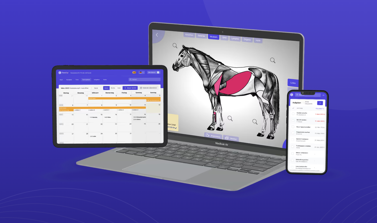 TheraTap mobile practice software