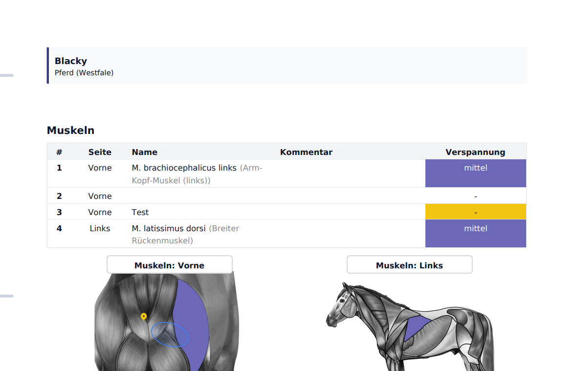 TheraTap practice software for animal therapists:innen