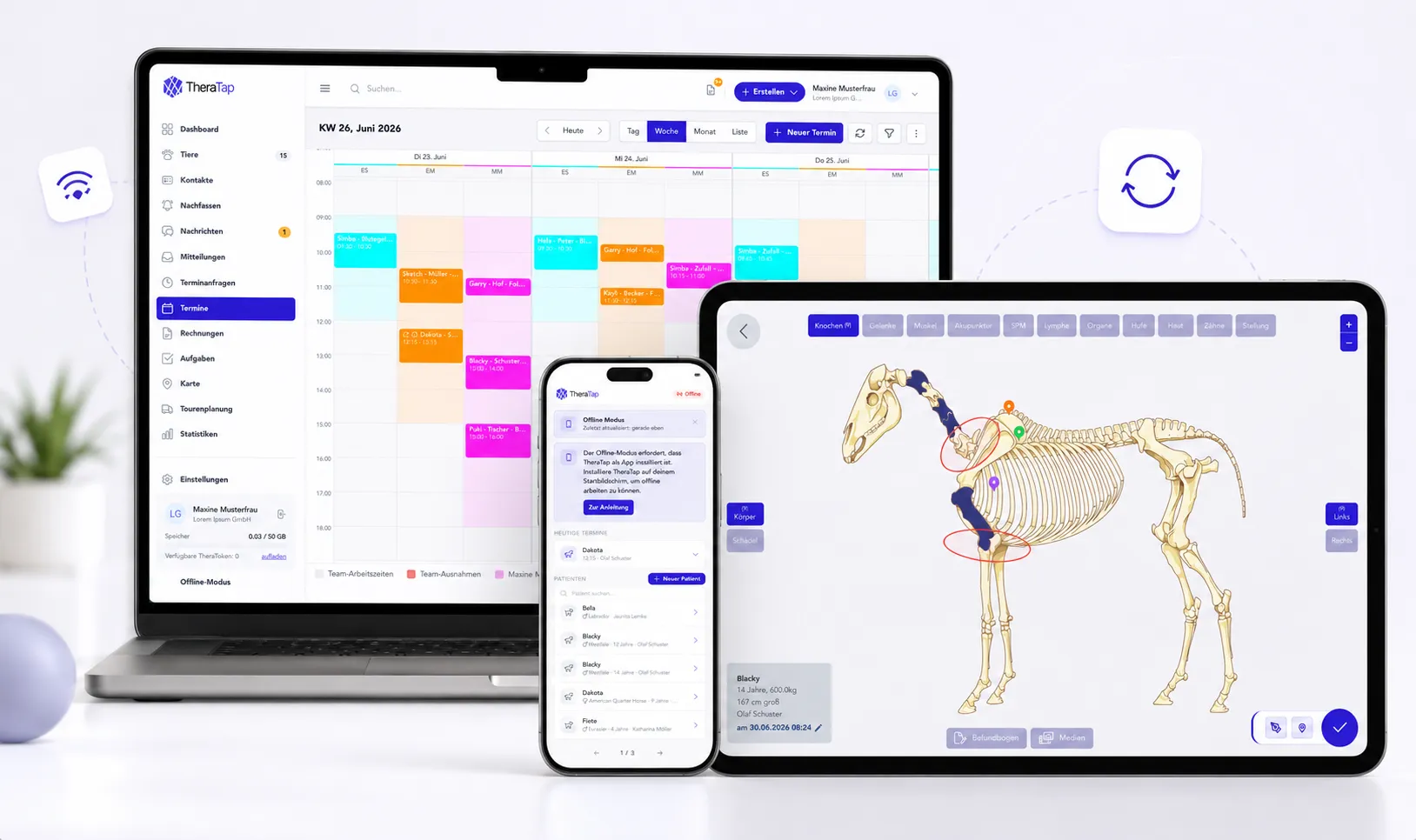 TheraTap on laptop, tablet and smartphone