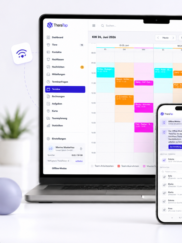 Optimal support for mobile therapists