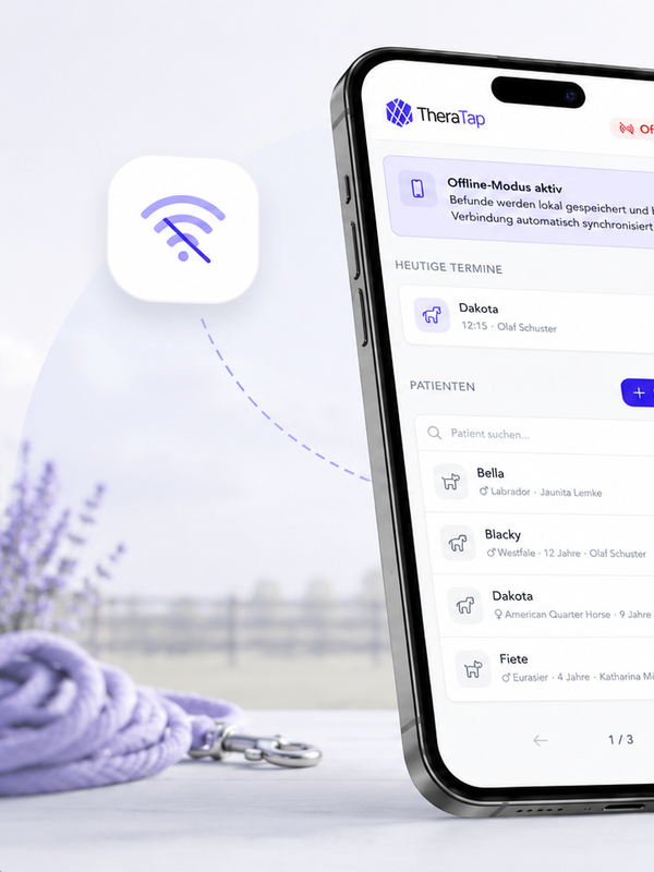 Home visit & offline mode