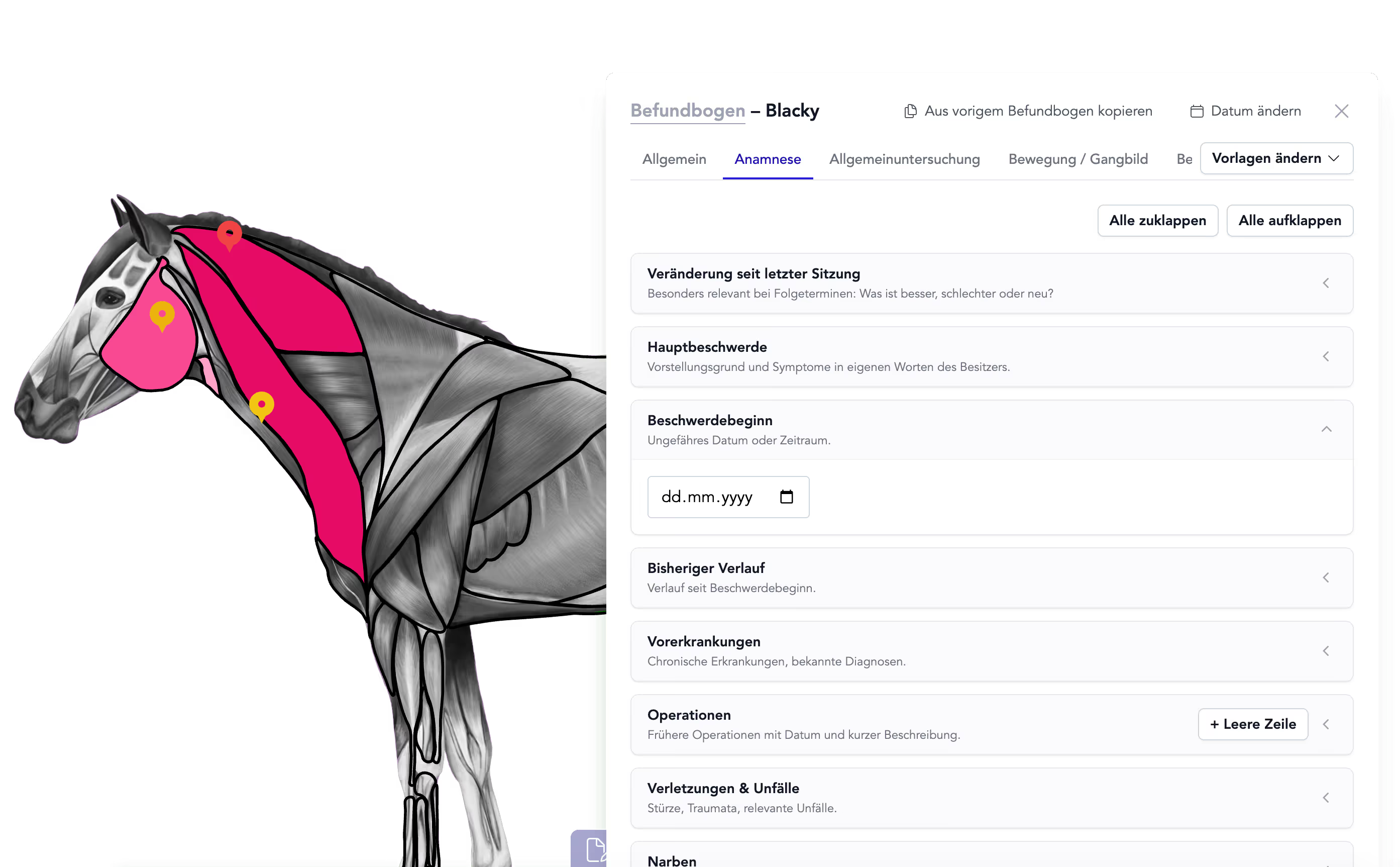 Product Update May 2026: Flex Forms, Freehand Drawing, Route Planner and More